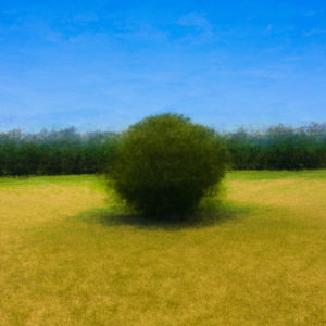 ArbreAbstrait d’un champ de blé