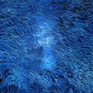 Cryogénique Blue