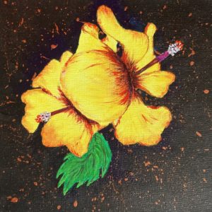 Hommage en jaune à mes hibiscus