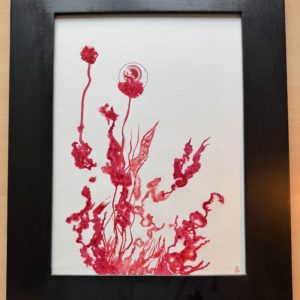 Lycoris